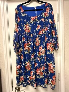 Pink Blush Blue Floral Chiffon Babydoll Dress XL NWT